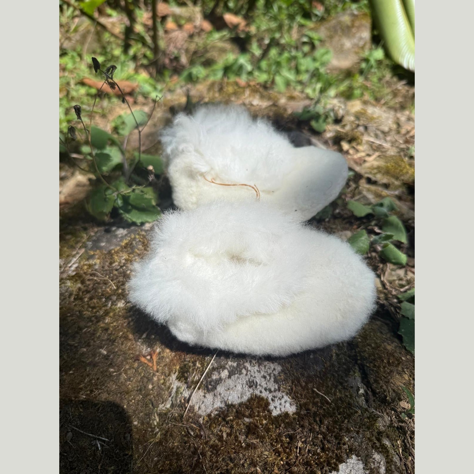 Alpaca Baby Shoes (Preorder)